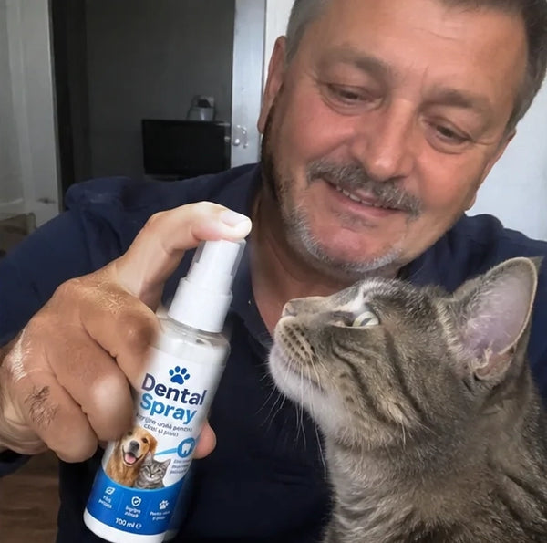 Poză recenzie Radu Cristescu